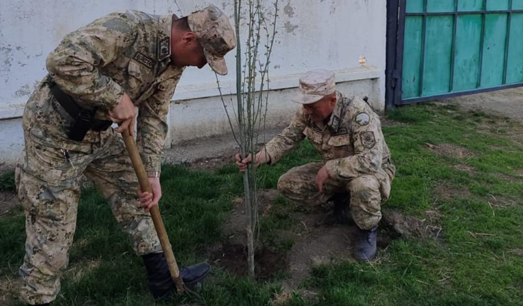 Текелі қаласындағы шекарашылар экологиялық акция өткізді