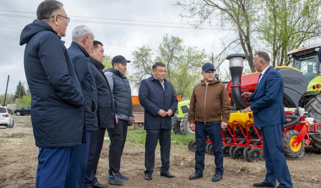 Сарқан сиверс алмасының отаны