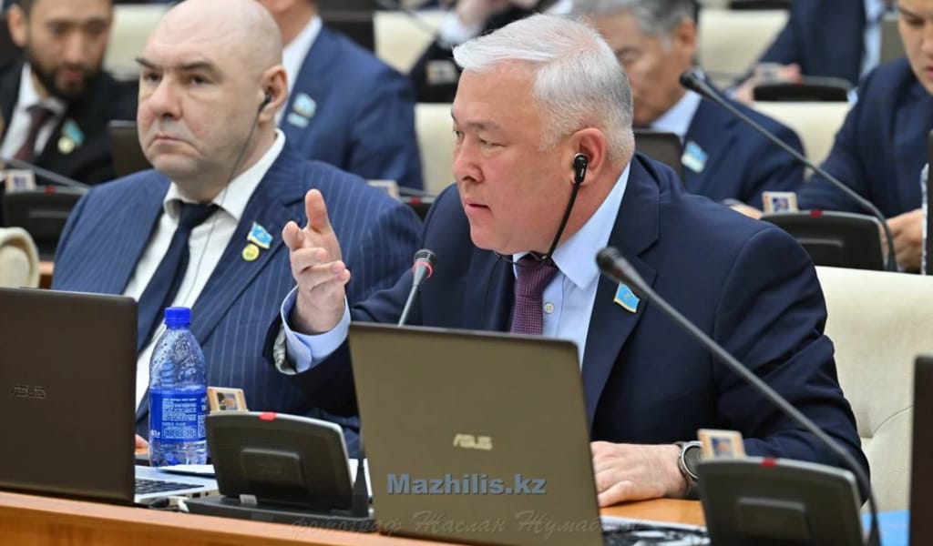 Депутат көшеде видео түсіретін блогерлердің заңсыз әрекеттеріне тосқауыл қоюды ұсынды