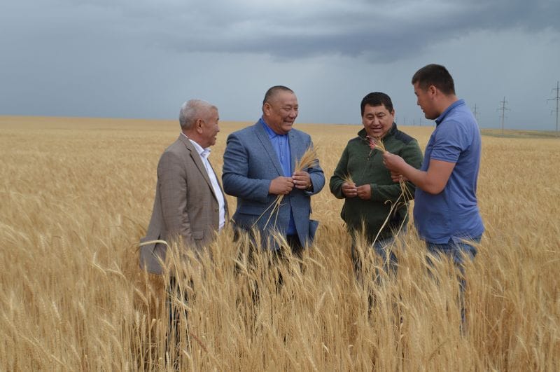 Дала дүбірге толды