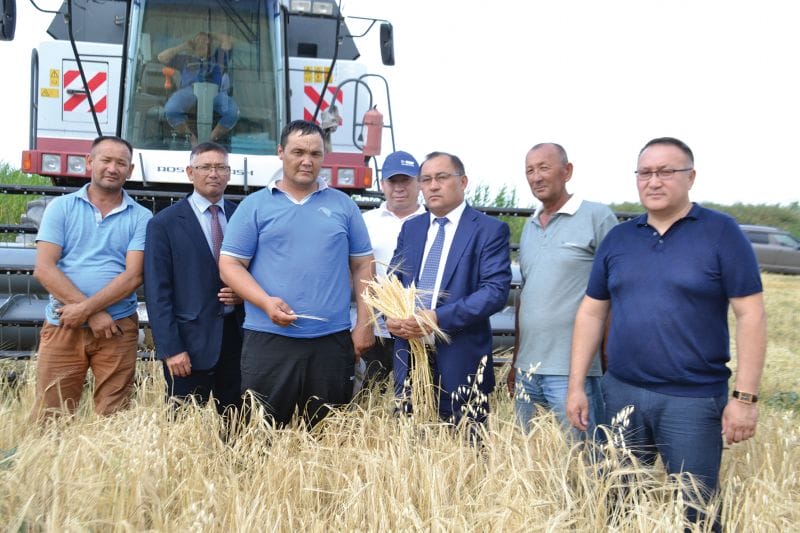 Арпа-бидайға орақ түсті