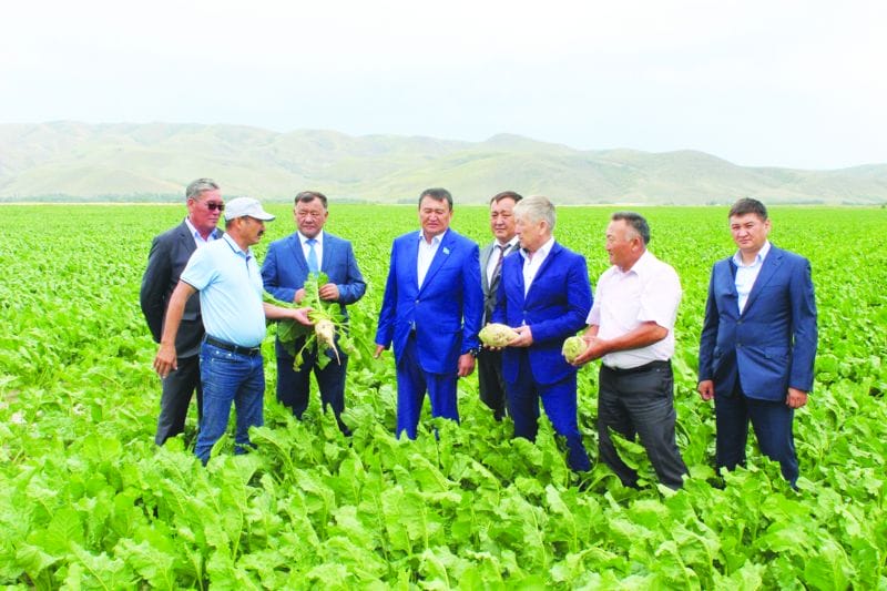 ЕГІС АЛҚАБЫН АРАЛАДЫ