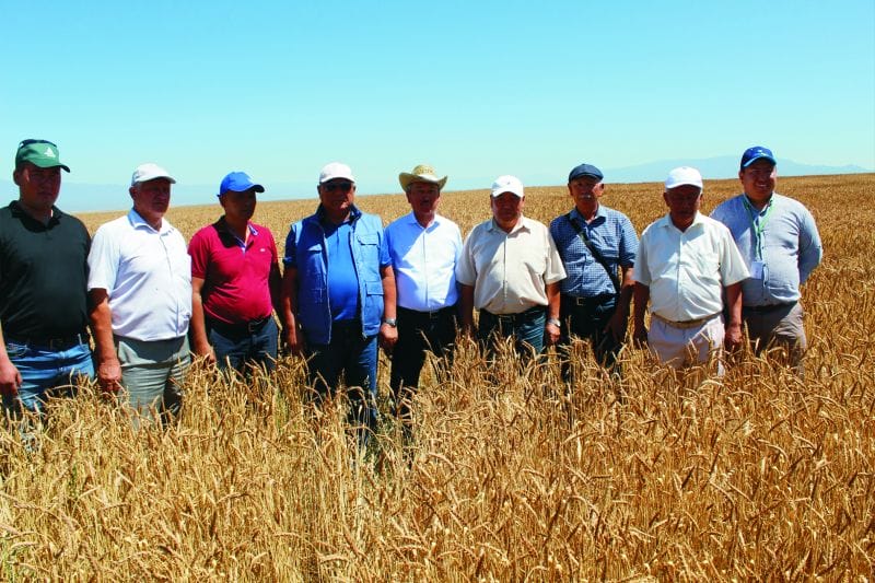 ПАЙДАСЫ МОЛ СЕМИНАР