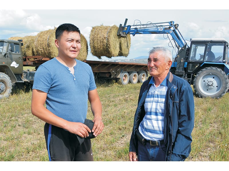 МАЛ АЗЫҒЫ МОЛЫНАН ДАЙЫНДАЛАДЫ