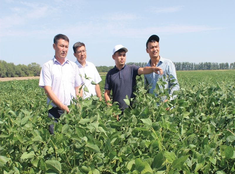 ДАҚЫЛ ШЫҒЫМЫ ЖОҒАРЫ