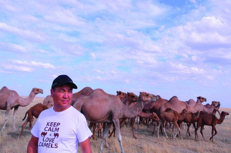 ЕЛ САУЛЫҒЫН ОЙЛАҒАН