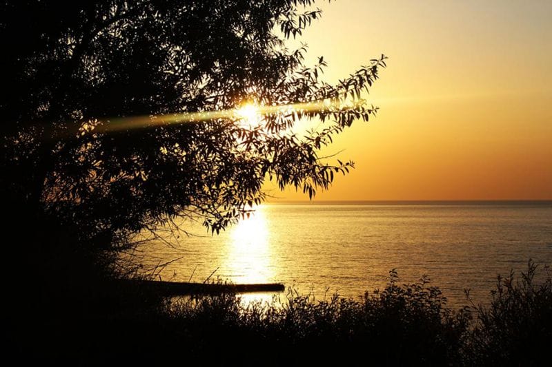 Сыңар болсаң пендеңді шиыр, өмір