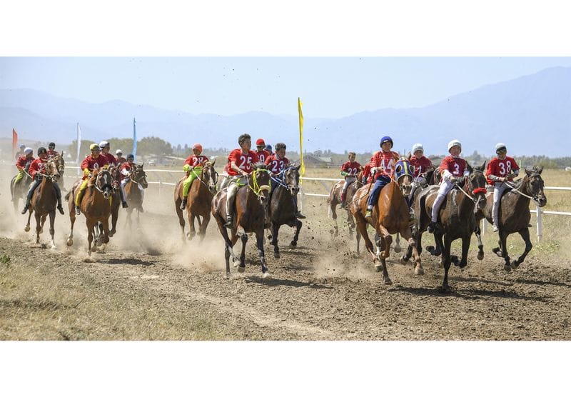 ЖҮЙІРІКТЕР ЖЕЛМЕН ЖАРЫСТЫ
