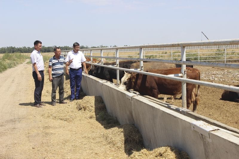 ЕКІ АЙДЫҢ НӘТИЖЕСІ ҚОМАҚТЫ