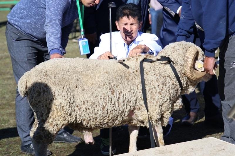 ҚОШҚАРЛАР БАЙҚАУЫ ӨТТІ