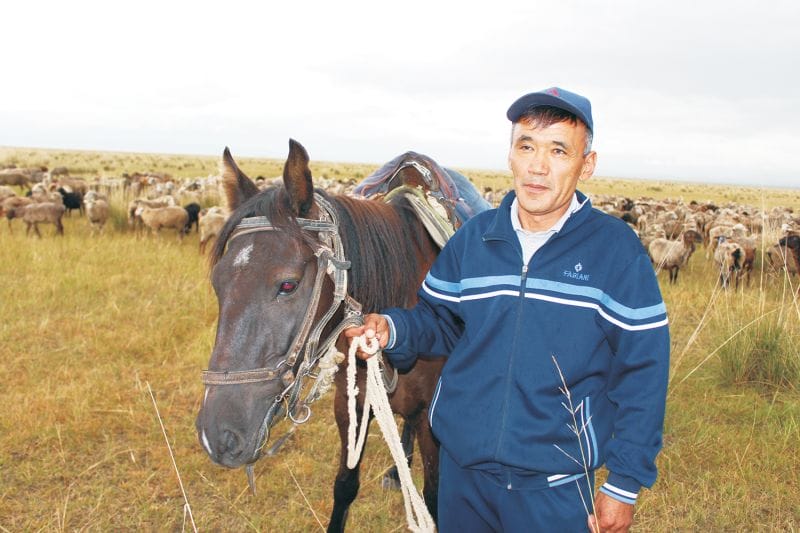 Мал өсірсең қой өсір...