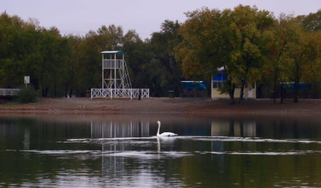 ТАЛДЫҚОРҒАНҒА АҚҚУ КЕЛДІ