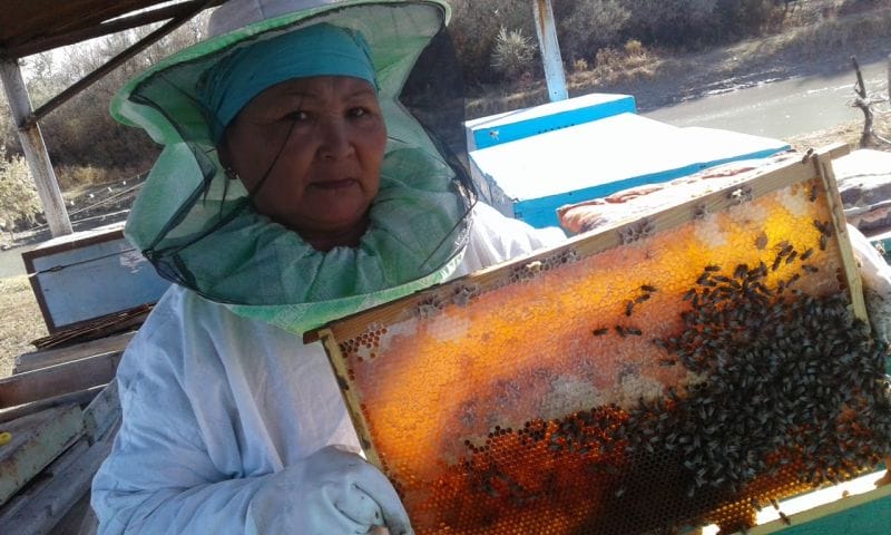 ОМАРТАШЫЛАР ОТБАСЫ 4 МИЛЛИОН ТЕҢГЕ ИЕЛЕНДІ