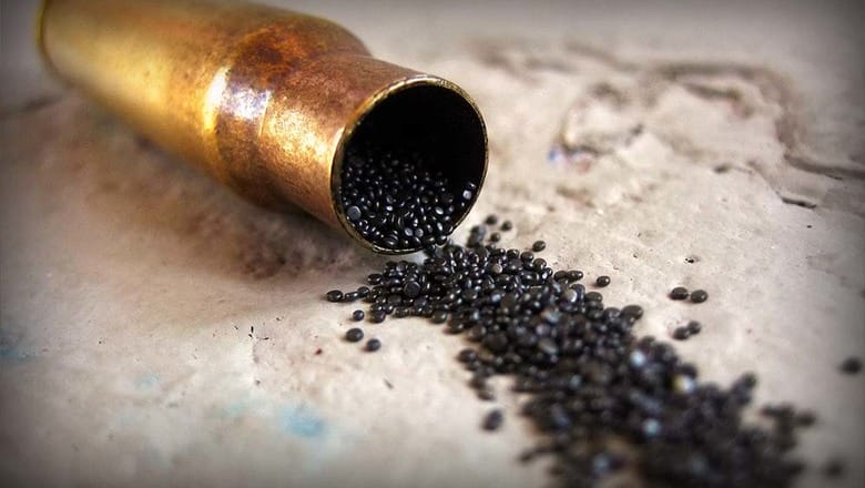 ТАЛҒАРДА ҚАРУ-ЖАРАҚ ҰРЛАҒАНДАР ҚҰРЫҚТАЛДЫ