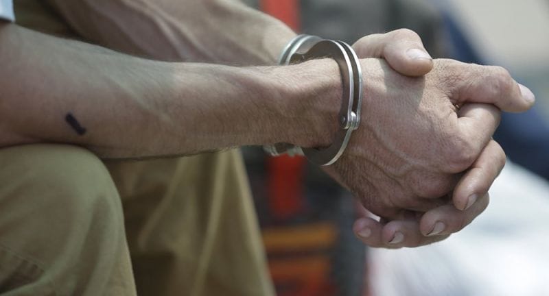 ҚОЙШЫНЫ ӨЛТІРІП, ҚЫСТАҚҚА ЖАСЫРЫНҒАН