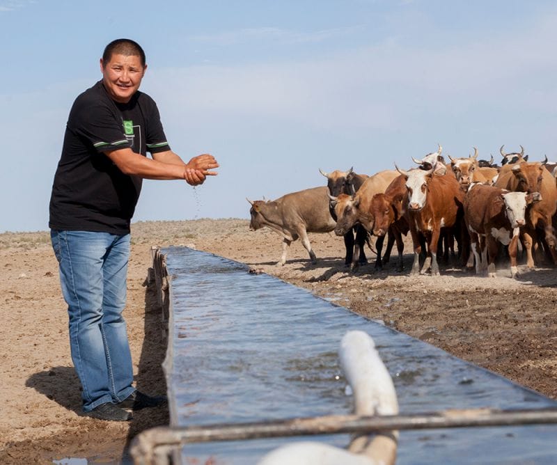 Қайратты ерге мал бітеді