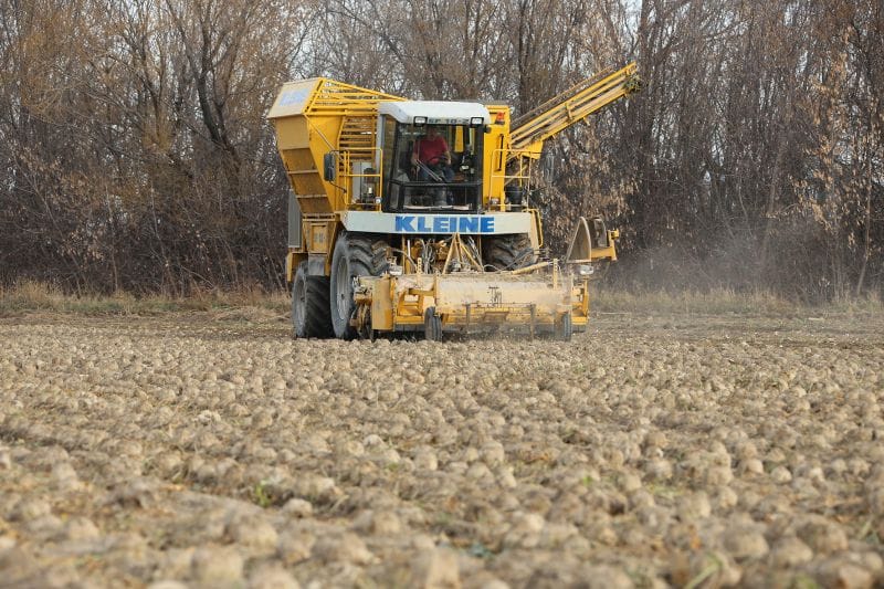 ҚОЖАЛЫҚТАҒЫ ҚЫЗУ ЕҢБЕК