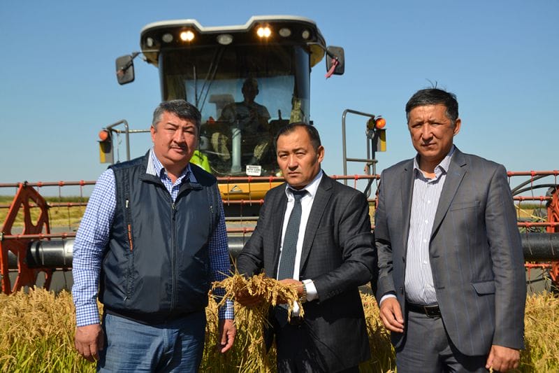 Қарқын алды