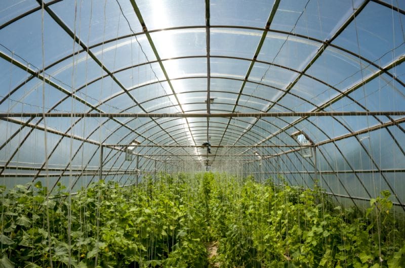 ЖЫЛЫЖАЙ ІСКЕ ҚОСЫЛДЫ