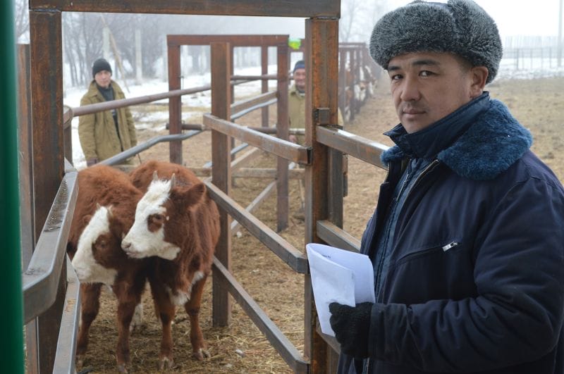 "СЫБАҒА" СЕРПІН БЕРДІ