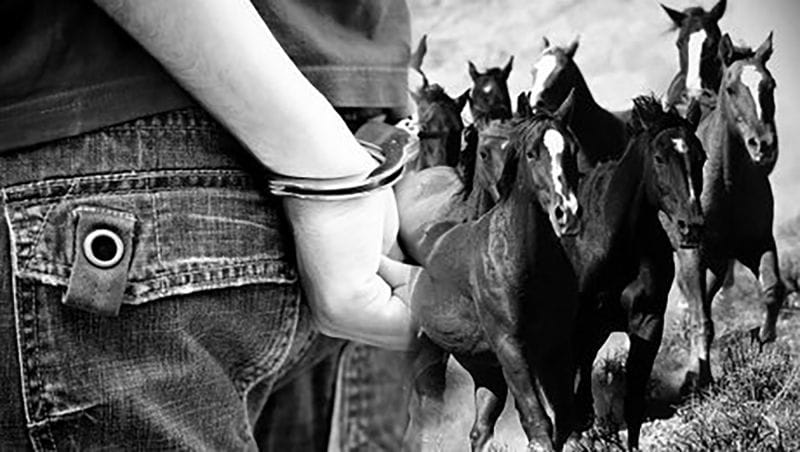 "BMW" МІНГЕН БАРЫМТАШЫ