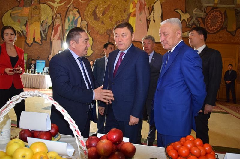 ТАБЫСЫ ТОЛЫМДЫ