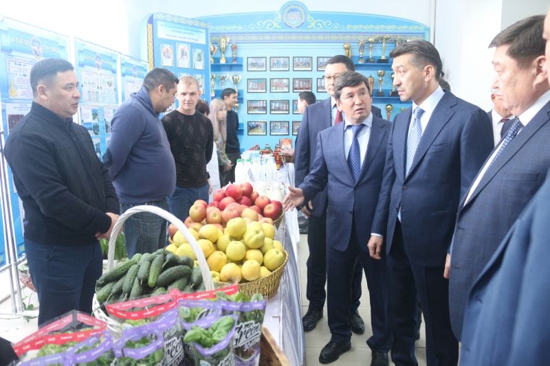 ӘКІМ ЕСЕБІ: СЫРҚАТТАР ДӘЛІЗДЕ ЖАТАДЫ