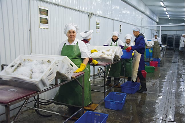 БАЛЫҚ ЗАУЫТЫ ІСКЕ ҚОСЫЛДЫ