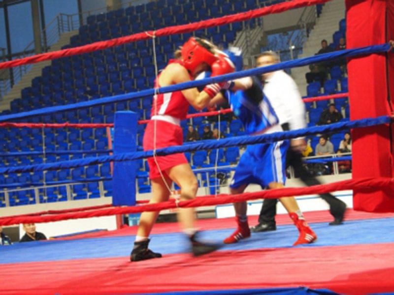 Әуесқой бокста қаламын