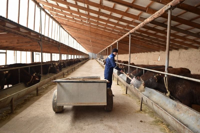 МАҚСАТ - МЫҢҒА ЖЕТКІЗУ, БІРАҚ...