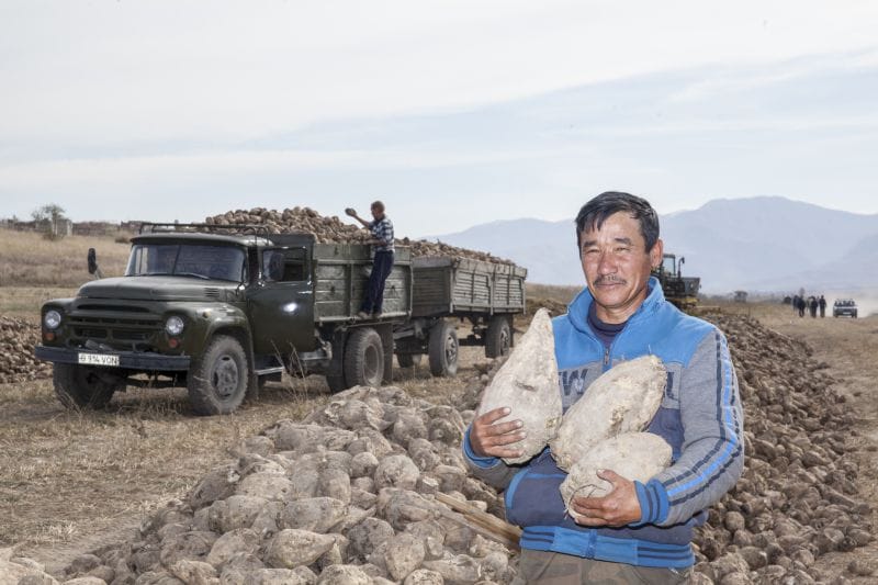 Еңбек еткеннің еңсесі биік