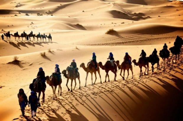 ҰЛЫ ЖІБЕК ЖОЛЫН ЗЕРТТЕП ЖҮРМІЗ БЕ?