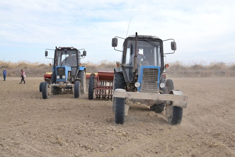 НАУҚАН: ДАЛА ТӨСІ ДҮБІРГЕ БӨЛЕНДІ