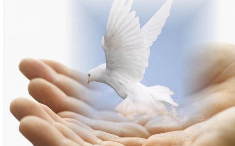 ЖОҒАЛҒАН АДАМГЕРШІЛІК