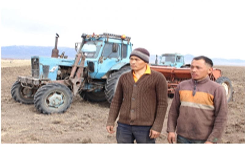 ҚҰНАРЛЫ ЖЕРДЕ ЫРЫС МОЛ