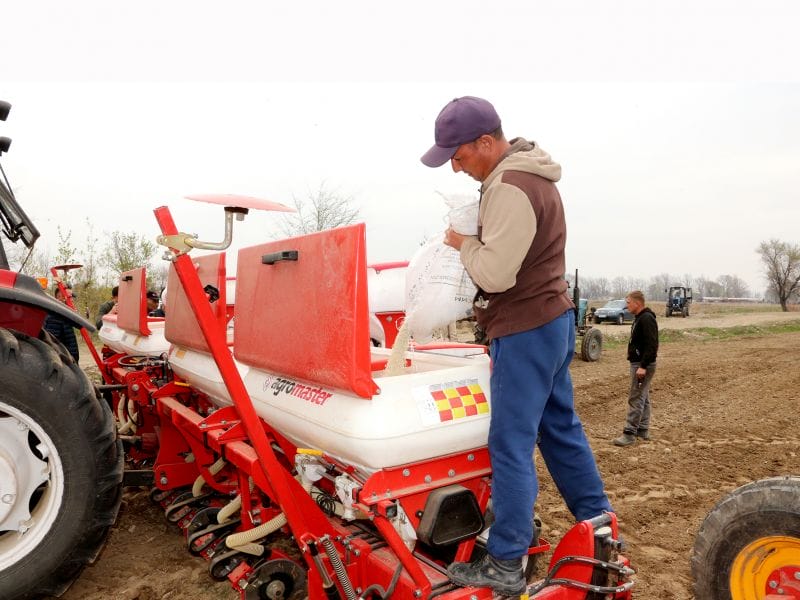 ҒАЛЫМДАР ҚАНТ ҚЫЗЫЛШАСЫНЫҢ 14 ТҮРІН ТАНЫСТЫРДЫ