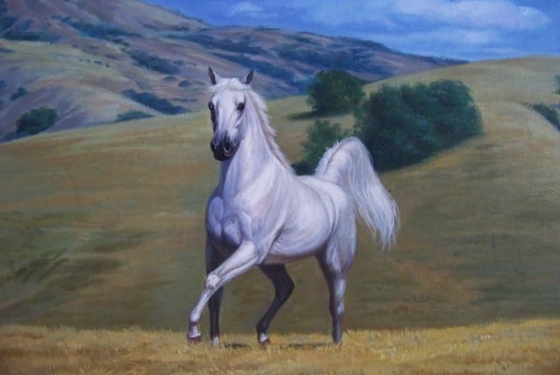 ӘДЕБИ ТАЛДАУ: «ТОРТАЙ МІНЕР АҚ БОЗ АТ»