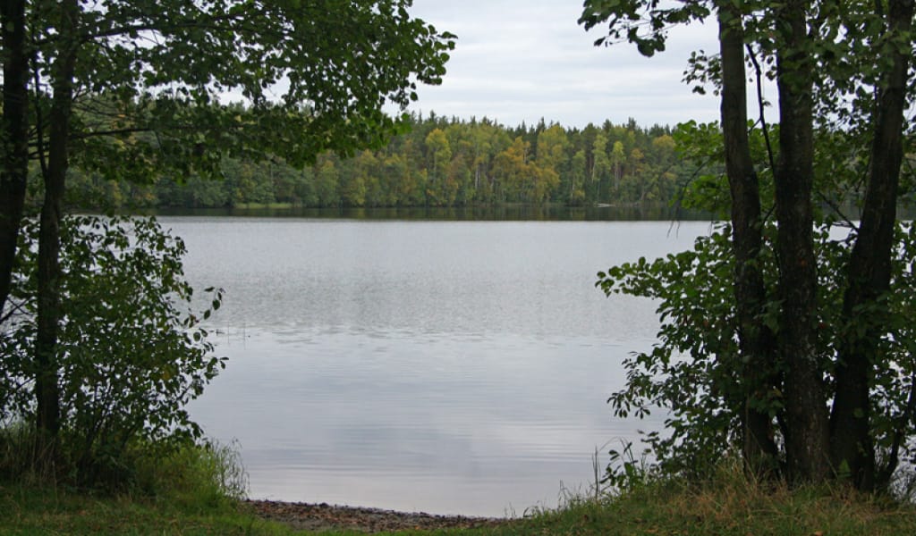 ТҰРҒЫНДАР НАЗАРЫНА: КӨЛ ЖАҒАЛАУЫН ТАЗА ҰСТАЙЫҚ