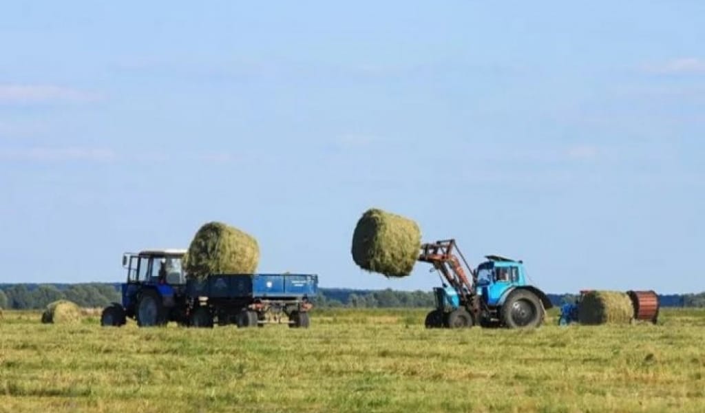 БАЛҚАШ АУДАНЫ: ӘКІМ АРПА АЛҚАБЫН АРАЛАДЫ