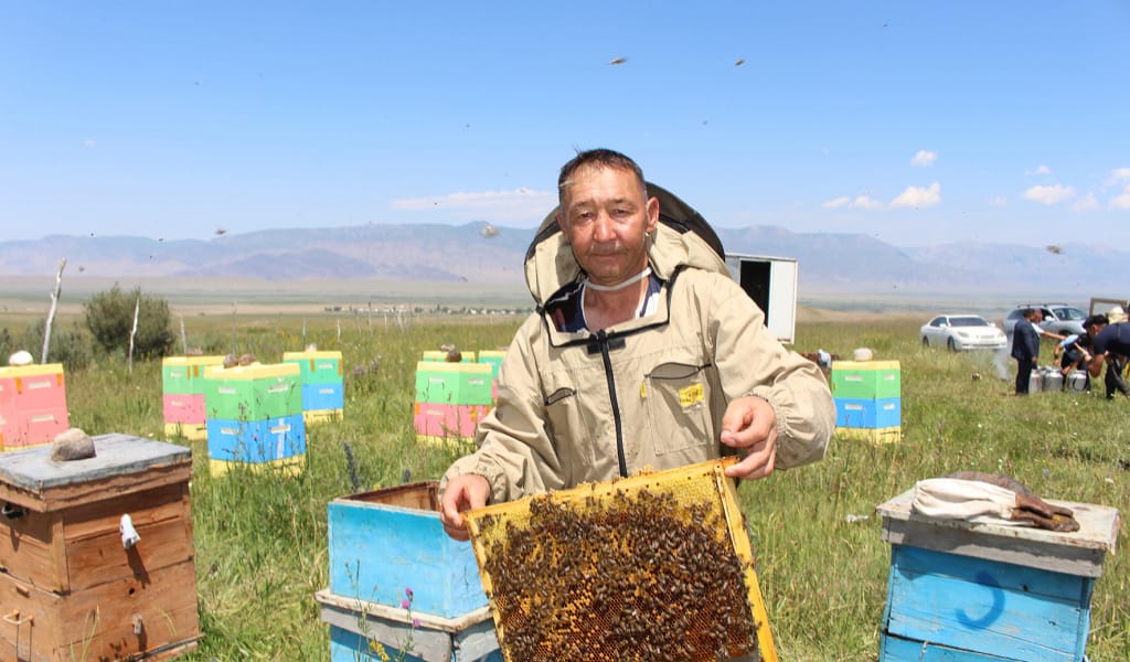 БАЛ АРАСЫ &ndash; ТАБЫС КӨЗІ