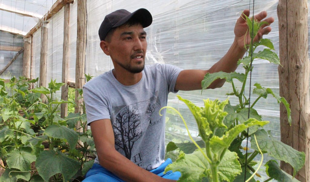 ІРГЕЛІ ІСТІҢ БАСТАУЫ