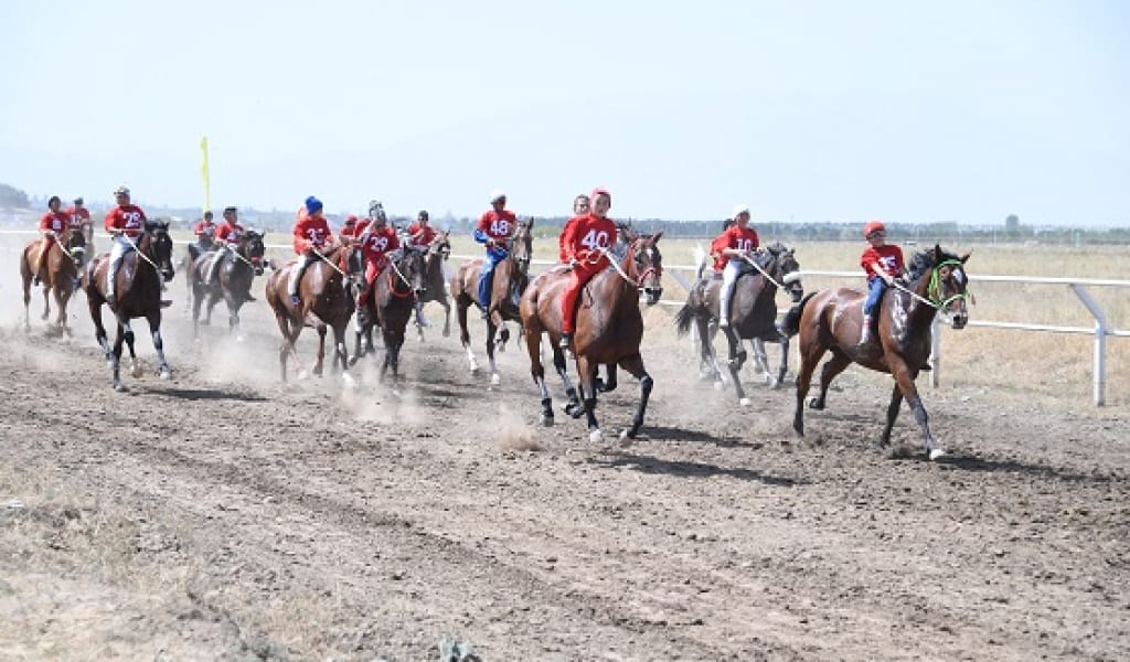 ЖЕТІ АВТОКӨЛІК ТІГІЛДІ: ШИЫРШЫҚ АТҚАН ШЫН ЖҮЙРІКТЕР