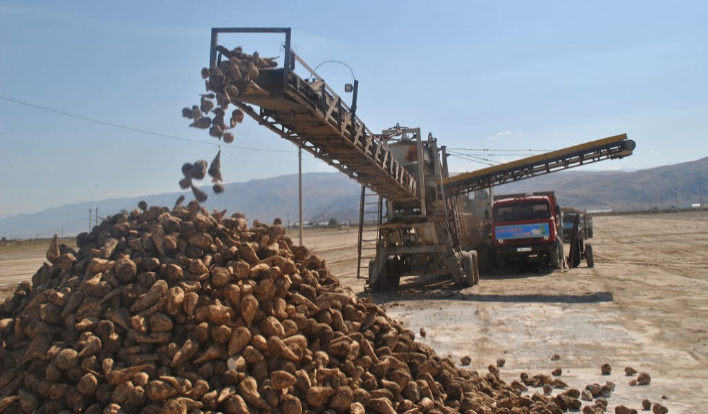 АЛМАТЫ ОБЛЫСЫНДА ҚАНТ ҚЫЗЫЛШАСЫ ҚАБЫЛДАНЫП ЖАТЫР