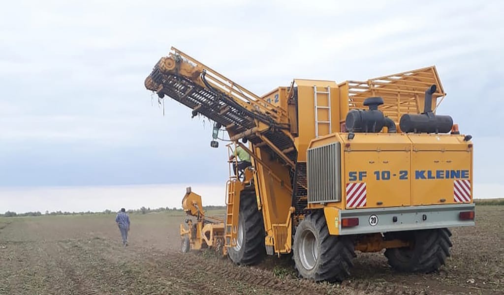"ТӨРТ КАМАЗ ҚЫЗЫЛША ӨТКІЗДІК": ҚОЖАЛЫҚТА ЕҢБЕК ҚЫЗУ