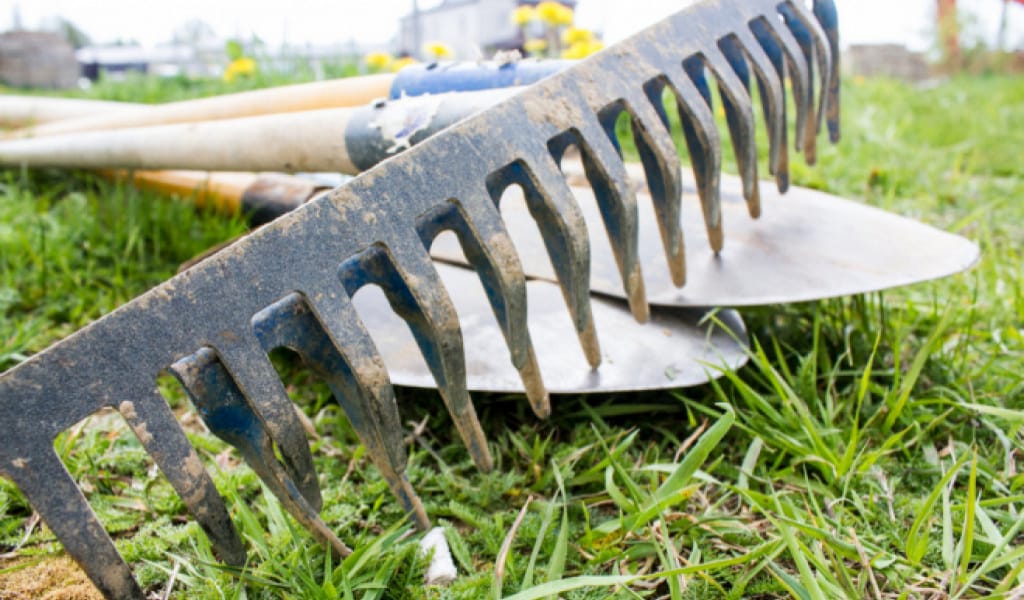 ОБЛЫСТЫҚ КОМИССИЯ ҰЗЫНАҒАШТЫҢ ТАЗАЛЫҒЫН ТЕКСЕРДІ