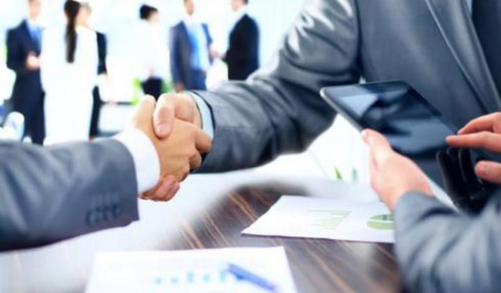 ЖЕКЕ КӘСІПКЕРДІ ТЕКСЕРУ: МӘСЕЛЕ, ҰСЫНЫС, НӘТИЖЕ