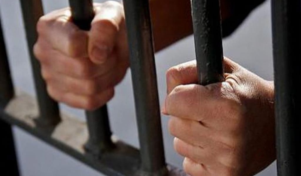 54 АДАМ ЖҰМЫСҚА ОРНАЛАСТЫ: ТҮРМЕДЕН БОСАП ШЫҚҚАНДАР МӘСЕЛЕСІ КӨТЕРІЛДІ