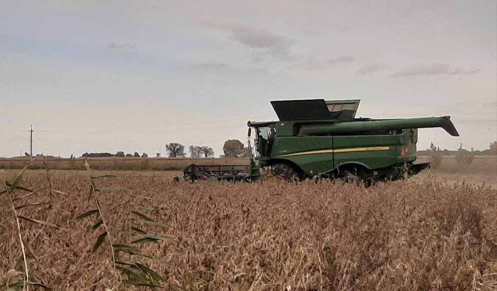 "ШЕТЕЛДІКТЕР ЖЕР ЖЫРТПАЙДЫ": БҰРШАҚ ТҰҚЫМЫН СЕБУДІҢ ЖАҢА ӘДІСІ