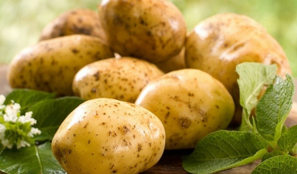 НАРЫНҚОЛДЫҢ КАРТОБЫ: ӘКІМДІКТЕН ҚАРЖЫЛАЙ ҚОЛДАУ КӨРСЕТІЛУДЕ