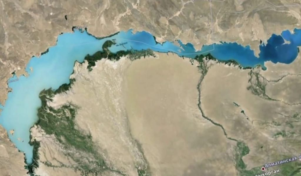 "БАЛҚАШҚА ҚАУІП ТӨНДІ": ТАЛДЫҚОРҒАНДА ЭКОЛОГТАР ДАБЫЛ ҚАҚТЫ